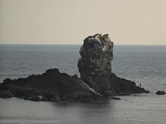 -涉地可支