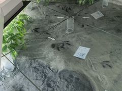 -延庆地质公园博物馆