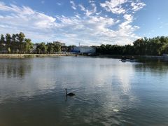 -长春市南湖公园