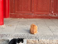 -西安碑林博物馆