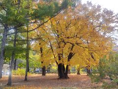 -长春市南湖公园