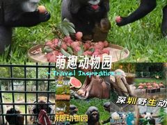 -深圳野生动物园