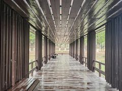 -翠湖国家城市湿地公园