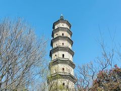 -巢湖姥山岛