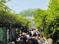-北京市圣克弗斯幼儿园·Think first(月亮河校区)