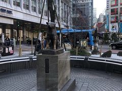 -涩谷全向十字路口