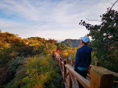 -大岭沟猕猴桃谷风景区