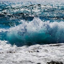 -薇兰专业脱毛连锁机构