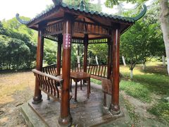 -滨湖塘西河公园