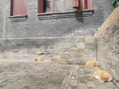 -晋祠公园