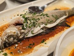 -醉辉皇原味海鲜江南菜(成都大魔方店)