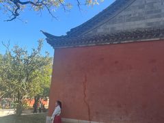 -建水文庙