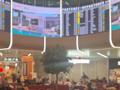 -米兰马尔彭萨国际机场