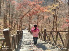 -天女山森林公园