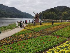 -广州市石门国家森林公园