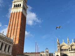 -圣马尔谷圣殿宗主教座堂