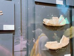 -北京周口店北京人遗址博物馆