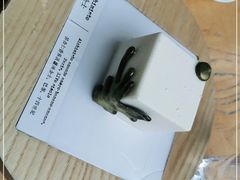 -TIENSTIENS将将(三里屯店)