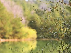 -南京市无想山景区
