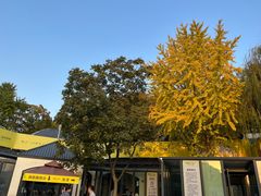 -食膳公园包子铺(烈士公园店)