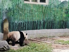 -南昌动物园