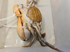 -钱塘花园·宁波菜