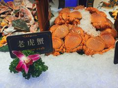 -加餐海鲜自助(宝龙一城店)