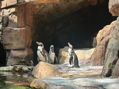 -长鹿旅游休博园