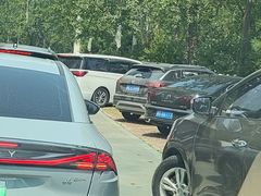 -秦皇岛野生动物园