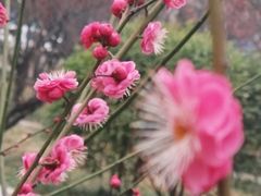 -山东大学(趵突泉校区)