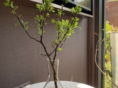 -黛瓦里·花园飨宴