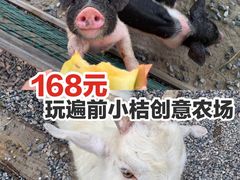 -前小桔亲子创意农场·草莓采摘·露营烧烤