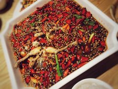 麻辣馋嘴蛙-沸腾鱼家(大尧三路店)