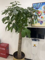 -丰联丽格医疗美容·联合丽格眼整形中心
