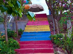 -桃源山庄·摘樱桃·柴火鸡·烧烤团建(龙泉山店)