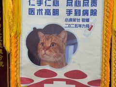 -美联众合爱康动物医院•复杂内科•肿瘤科•牙科•腔镜诊疗中心