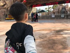 -美的鹭湖探索王国