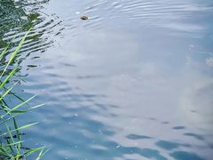 -恭王府博物馆