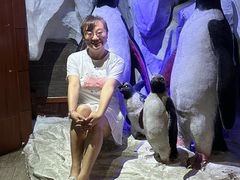 -太平洋海底世界