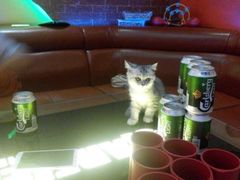 android_upload_pic-佰迪乐KTV(秀灵店)