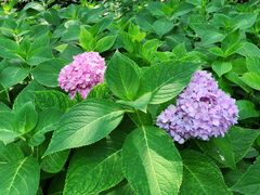 -常州古运河南大街文化旅游区-人民公园