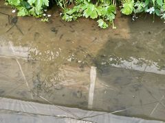 -径山花海
