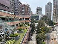 -香港大学