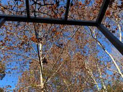 -春晖园度假酒店温泉