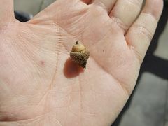 -牛背梁国家森林公园