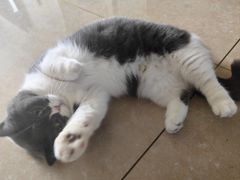 -王允海动物医院(中央大街店)