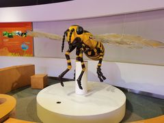 -陕西自然博物馆