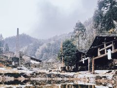 -MOJ coffee(瓯海泽雅水碓坑店)