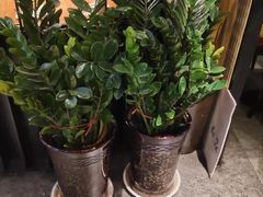 -老板恋上鱼(印象城店)