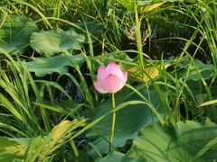 -华谊兄弟总部办公大楼